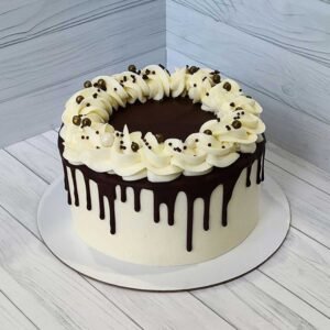 choco-drip-vanilla fusion-cake